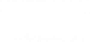 BW_logo transparent background Immagineldpi Logo Bluewind