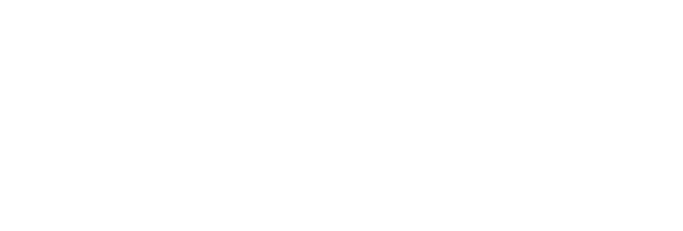 Logo Bluewind